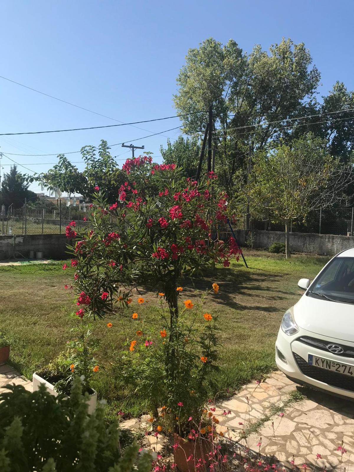 Aristidis Apartments Agios Georgios  Zewnętrze zdjęcie